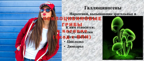 стаф Белоозёрский