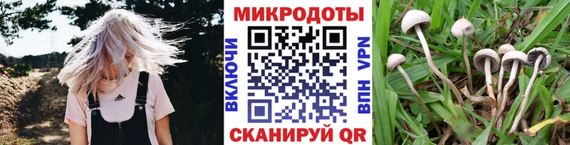 Псилоцибиновые грибы GOLDEN TEACHER  Хабаровск 